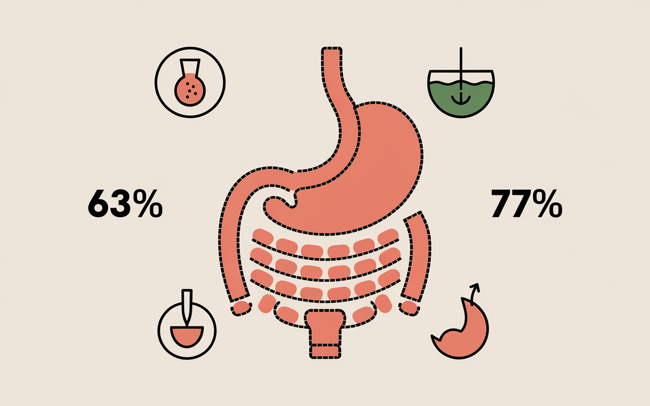 Pilules abdomen reduction taille chiffres detox digestion