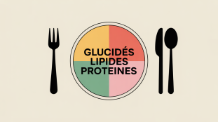 tableau glucide lipide proteine assiette equilibree